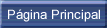 Página Principal